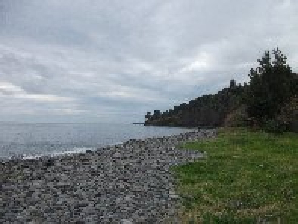 aiola-20101226 001